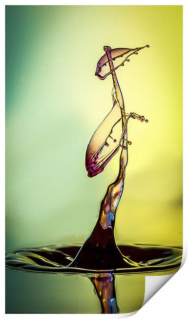 water drop Print by Olavs Silis