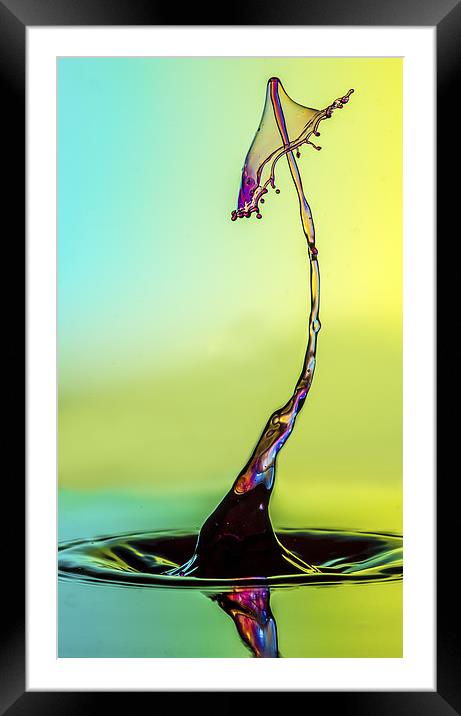 water drop Framed Mounted Print by Olavs Silis