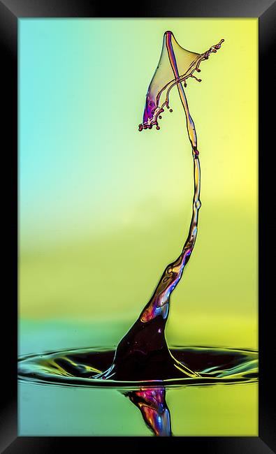 water drop Framed Print by Olavs Silis