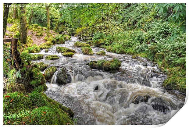Dolgoch Falls Wales Print by Diana Mower