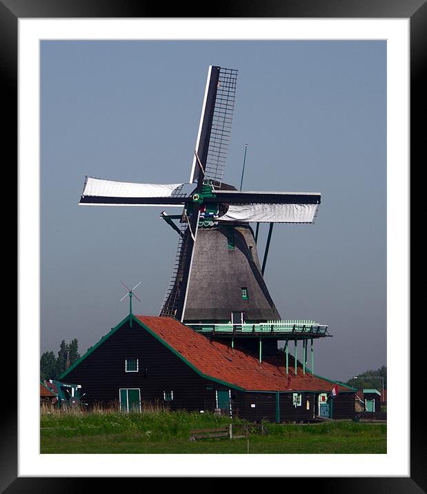 Windmill Framed Mounted Print by Thomas Grob