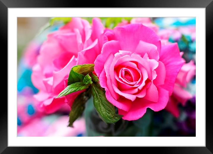 summer Blown Pink Roses Framed Mounted Print by Emma Manners