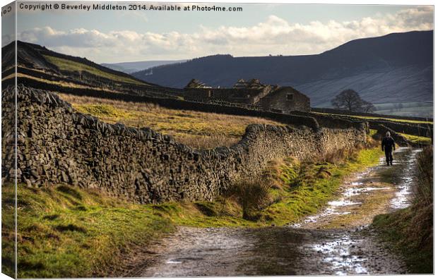 Footpath to Grassington Canvas Print by Beverley Middleton