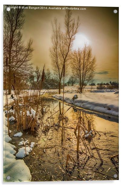 Winter Water Landscape 2 Acrylic by Mark Bangert