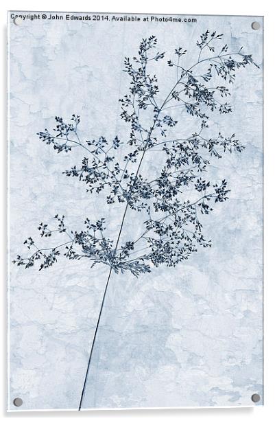 Pressed Grass Cyanotype Acrylic by John Edwards