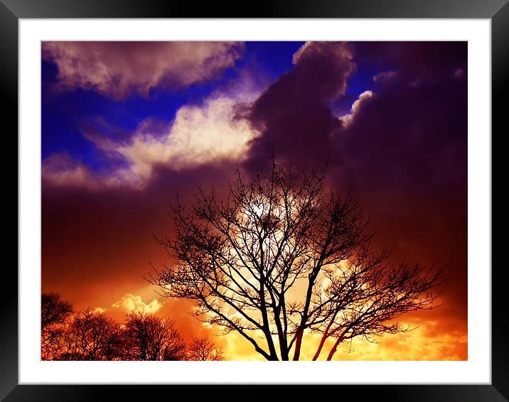 Passionate sky Framed Mounted Print by Alexia Miles