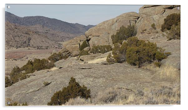 Rugged Wyoming Landscape 0615 Acrylic by Don Brady