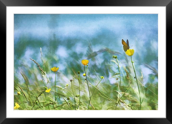 Photo-Art Summer Fields Framed Mounted Print by Ceri Jones