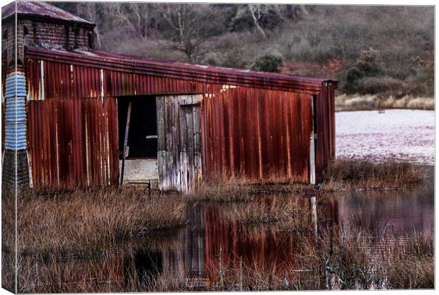 Water Shed Canvas Print by Steven Else ARPS