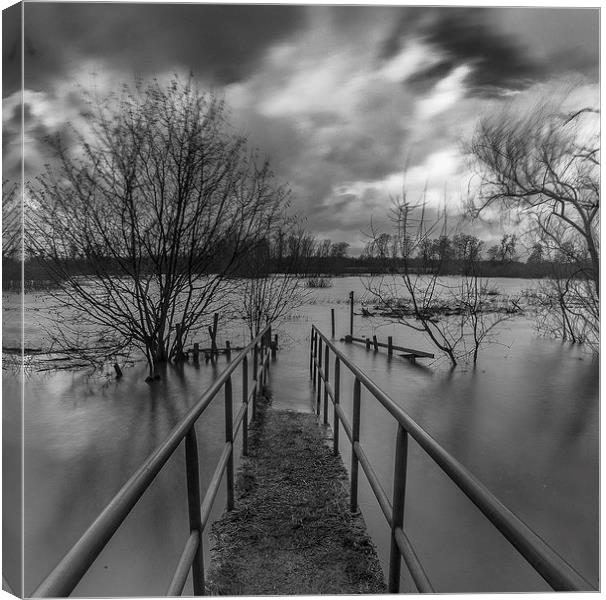 Flooded field Canvas Print by Steven Else ARPS