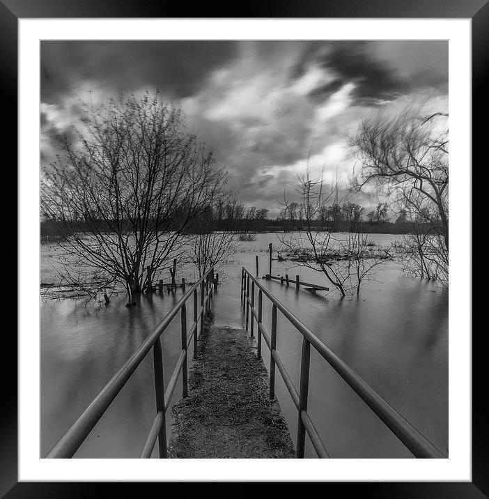 Flooded field Framed Mounted Print by Steven Else ARPS