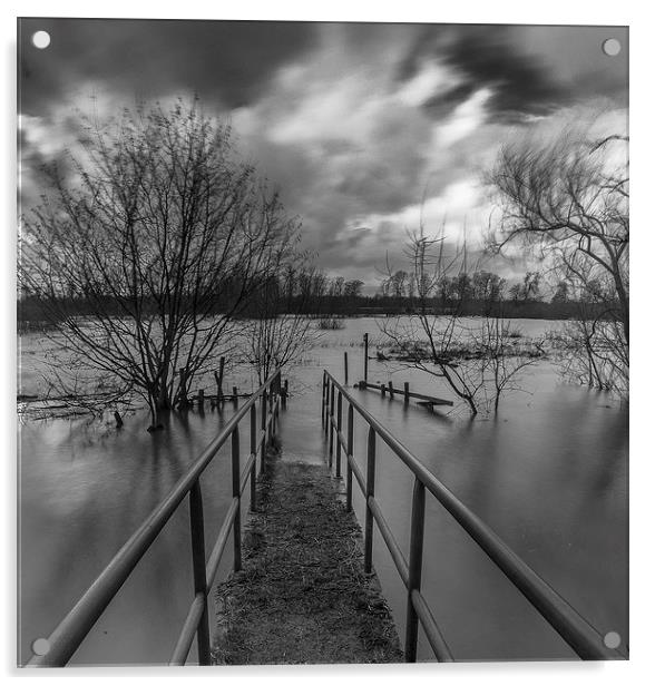 Flooded field Acrylic by Steven Else ARPS