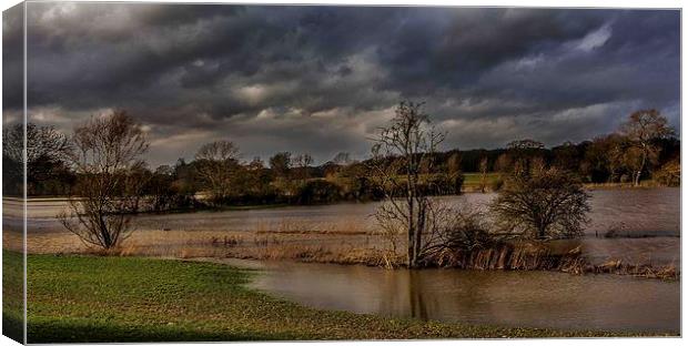 Flooded fields Canvas Print by Steven Else ARPS