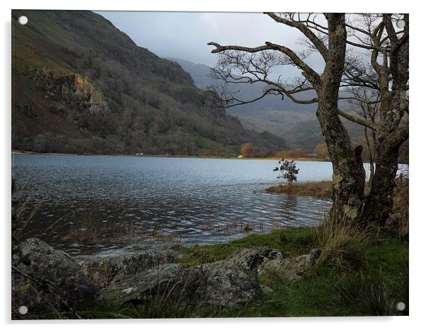 A welsh lake Acrylic by Steven Else ARPS