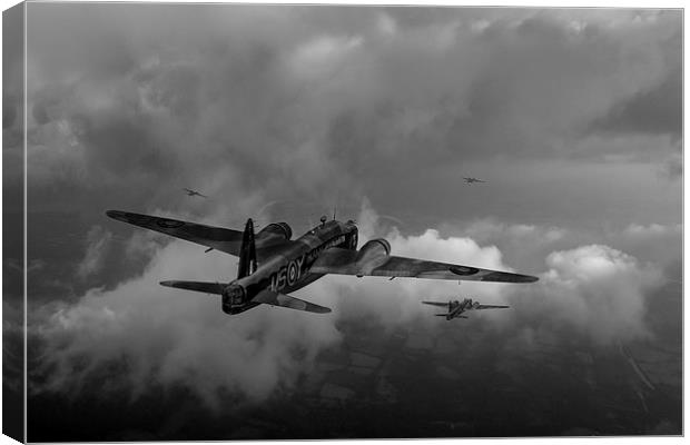 Taking the fight to the enemy B&W version Canvas Print by Gary Eason
