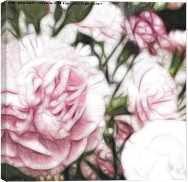 Carnations Canvas Print by Sharon Lisa Clarke