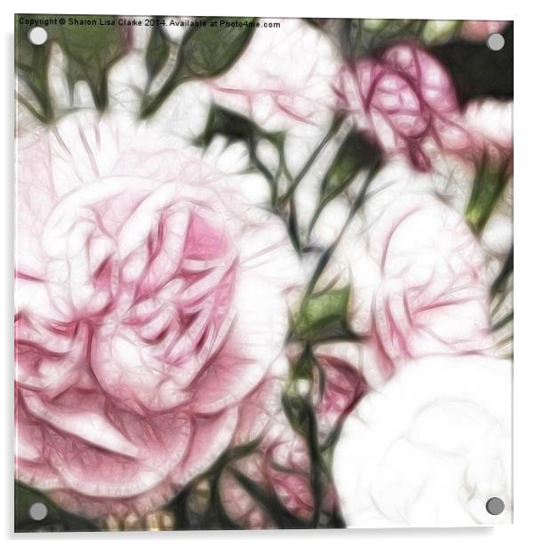 Carnations Acrylic by Sharon Lisa Clarke