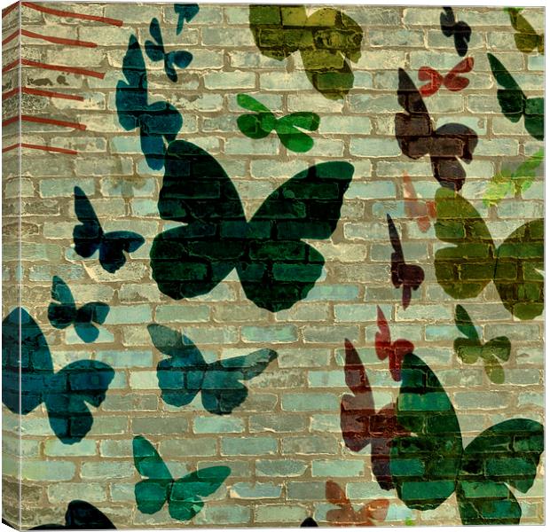 butterflies and bricks Canvas Print by Heather Newton