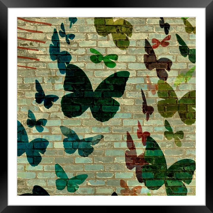 butterflies and bricks Framed Mounted Print by Heather Newton