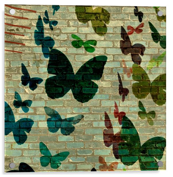 butterflies and bricks Acrylic by Heather Newton