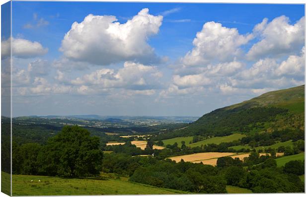 Upper Tarrell Valley Canvas Print by Dai Parker