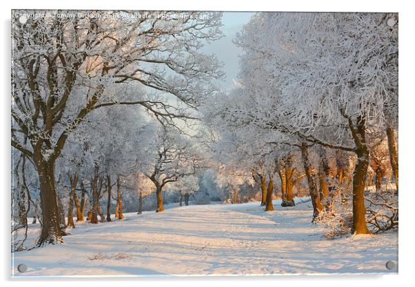 Winter tree scene. Acrylic by Tommy Dickson