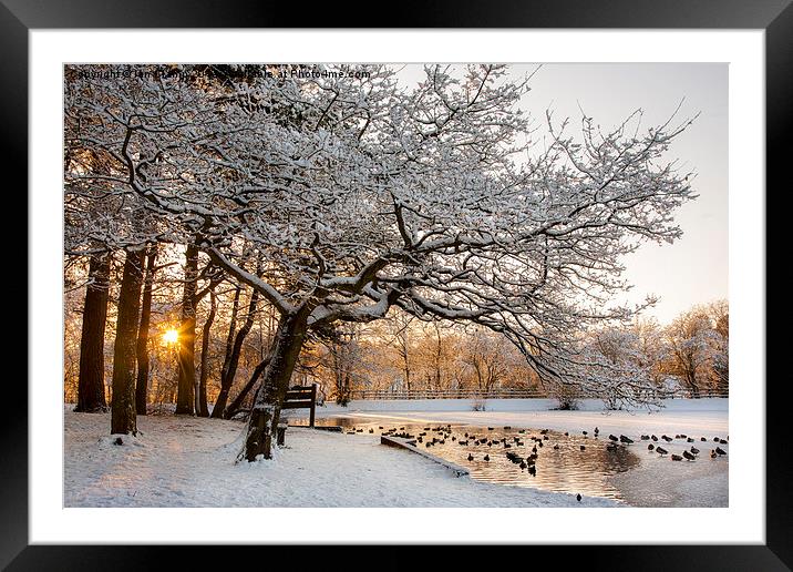 Winter sunset Framed Mounted Print by Ian Clamp