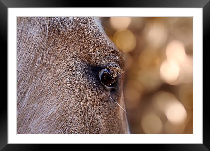 On Watch Framed Mounted Print by Doug Long