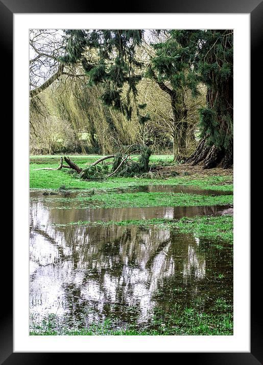 Marshland Framed Mounted Print by Laura Witherden