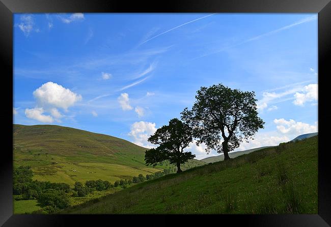 Upper Tarrell Valley View Framed Print by Dai Parker