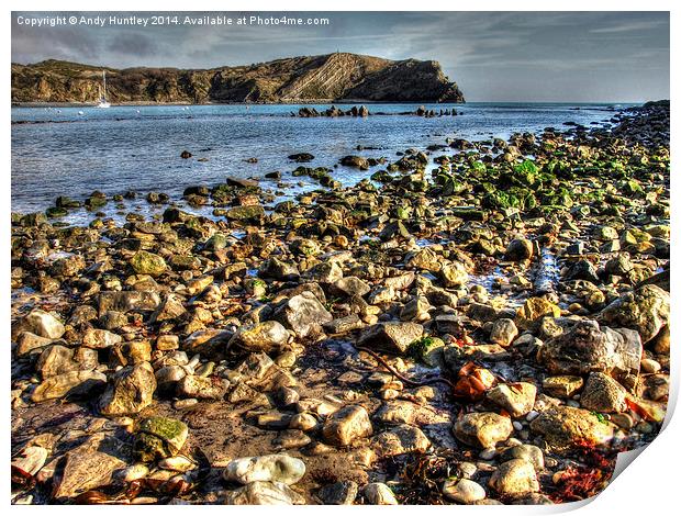 Lulworth Cove Print by Andy Huntley