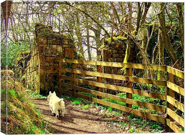 Follow that White Dog ! Canvas Print by Bill Lighterness