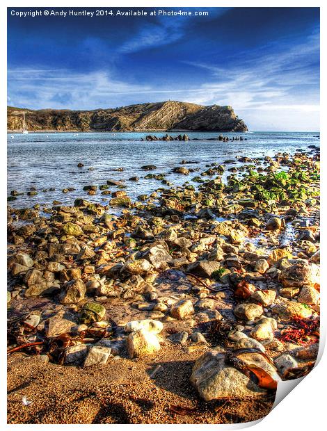 Lulworth Cove Dorset Print by Andy Huntley