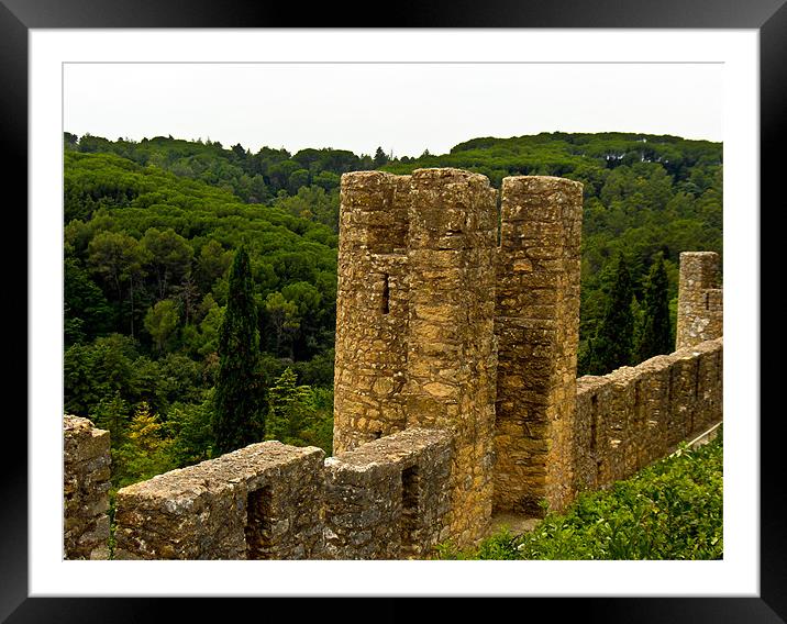 From the Castle Framed Mounted Print by Luis Lajas