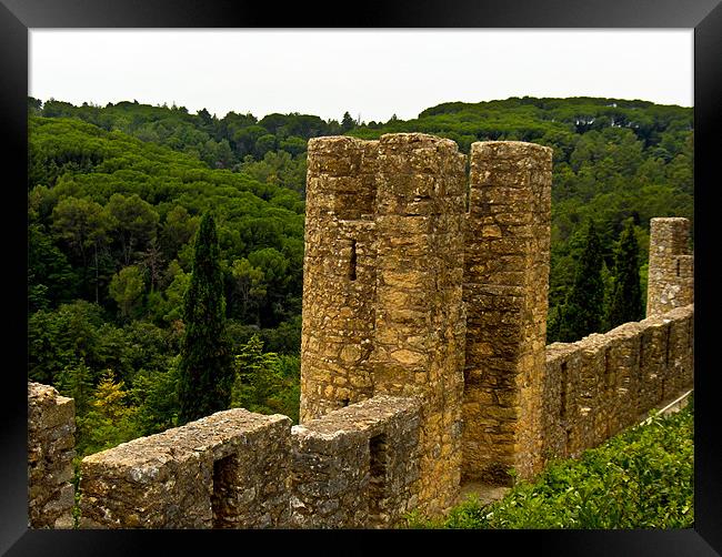 From the Castle Framed Print by Luis Lajas