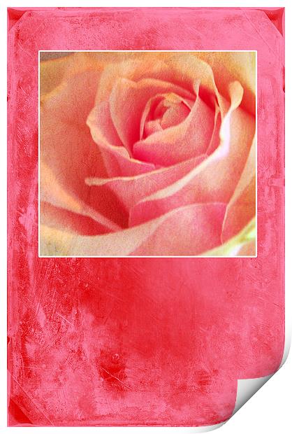 Rosy Print by Randi Grace Nilsberg