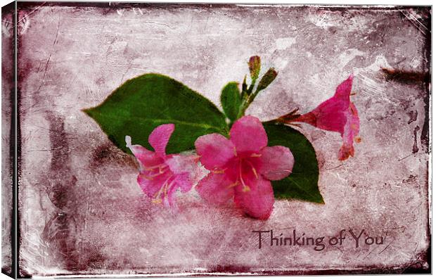 Blossom Canvas Print by Randi Grace Nilsberg