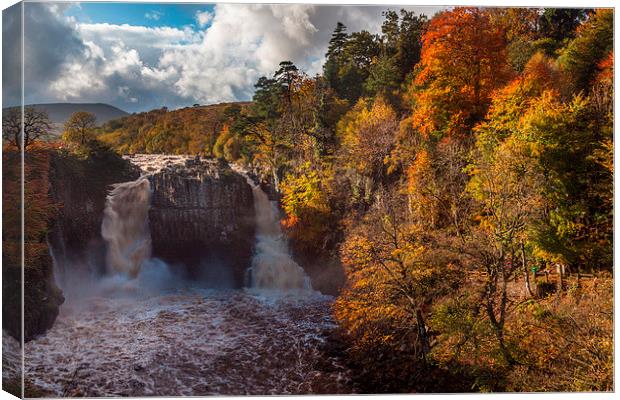 High Force Waterfall Canvas Print by Gary Richardson