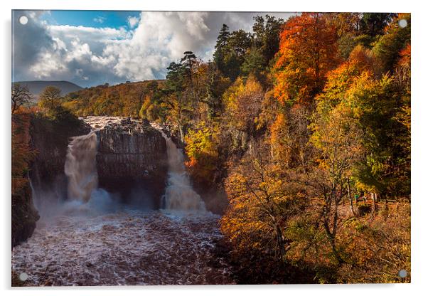 High Force Waterfall Acrylic by Gary Richardson