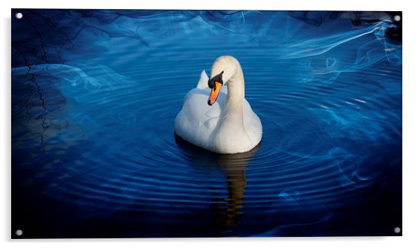 Swan Lake Acrylic by Lady Debra Bowers L.R.P.S