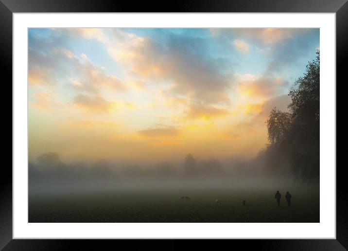 Walking the dogs on a foggy day Framed Mounted Print by Matthew Bruce
