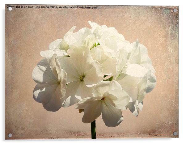 Antique White Acrylic by Sharon Lisa Clarke