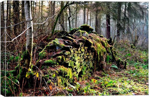 Old Wall in the Woods Canvas Print by Kelvin Brownsword