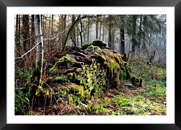 Old Wall in the Woods Framed Mounted Print by Kelvin Brownsword