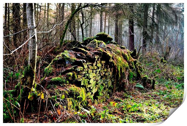 Old Wall in the Woods Print by Kelvin Brownsword