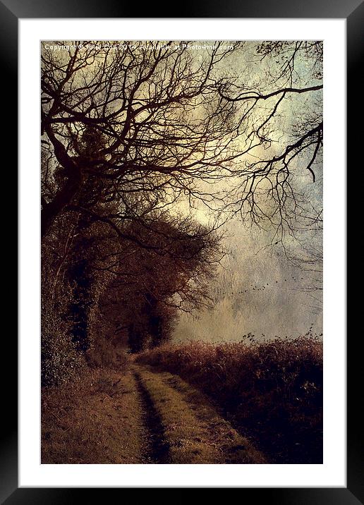 Dark Lane Framed Mounted Print by Julie Coe