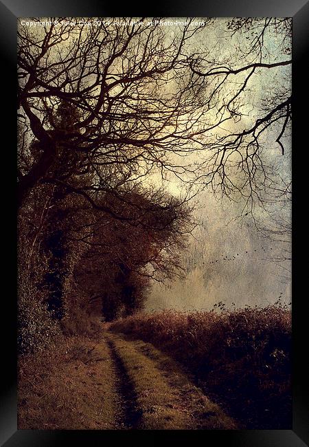 Dark Lane Framed Print by Julie Coe