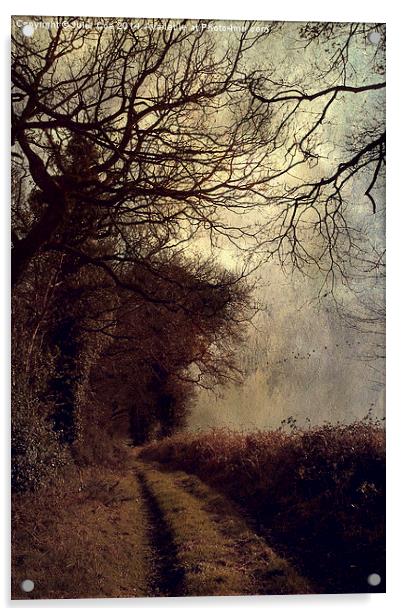 Dark Lane Acrylic by Julie Coe