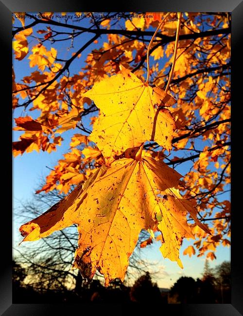 Autumn Leaves Framed Print by Andy Huntley