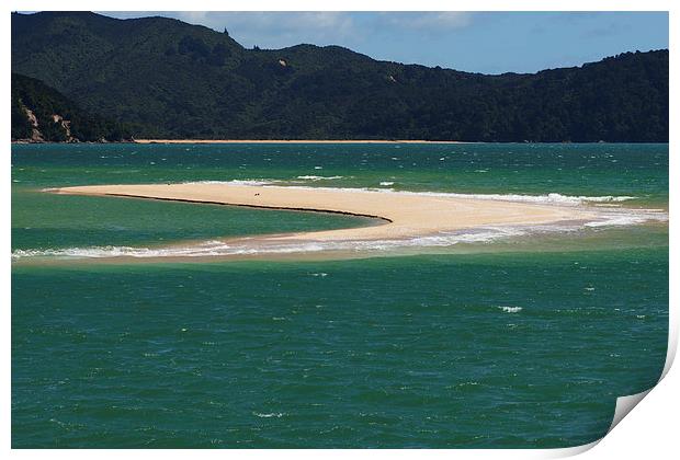 Sand Spit New Zealand Print by Mark Hughes
